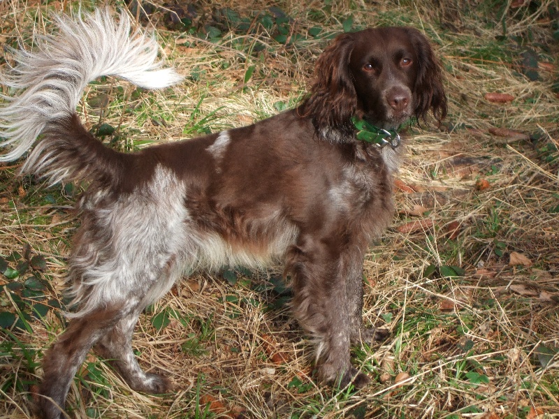 Diego du vent des Monts de Balerne