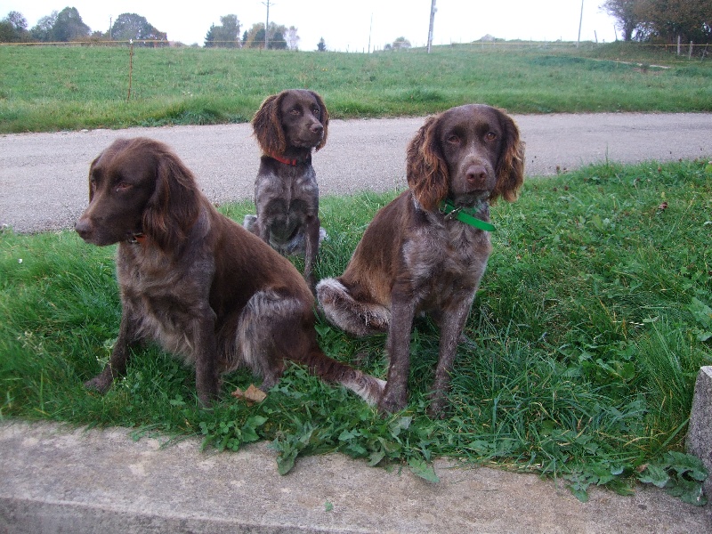 Trio de Saint-Usuge: Urka, Dickie et Diego