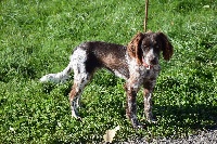 Jouky