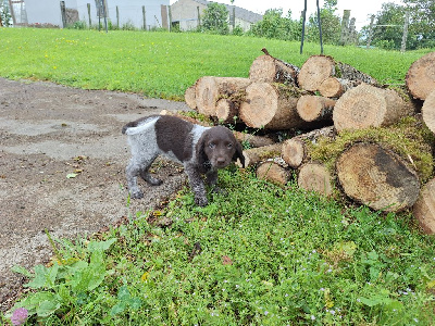 Valka